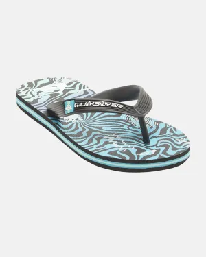 Boys Molokai Art II Flip-Flops