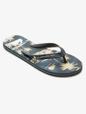 Mens Molokai Air Flow Flip Flops