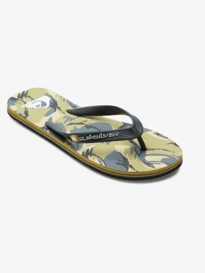 Mens Molokai Art Gregg Kaplan Flip Flops